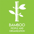 zalanconsulting-partner-logo-bamboopeopleandorganization